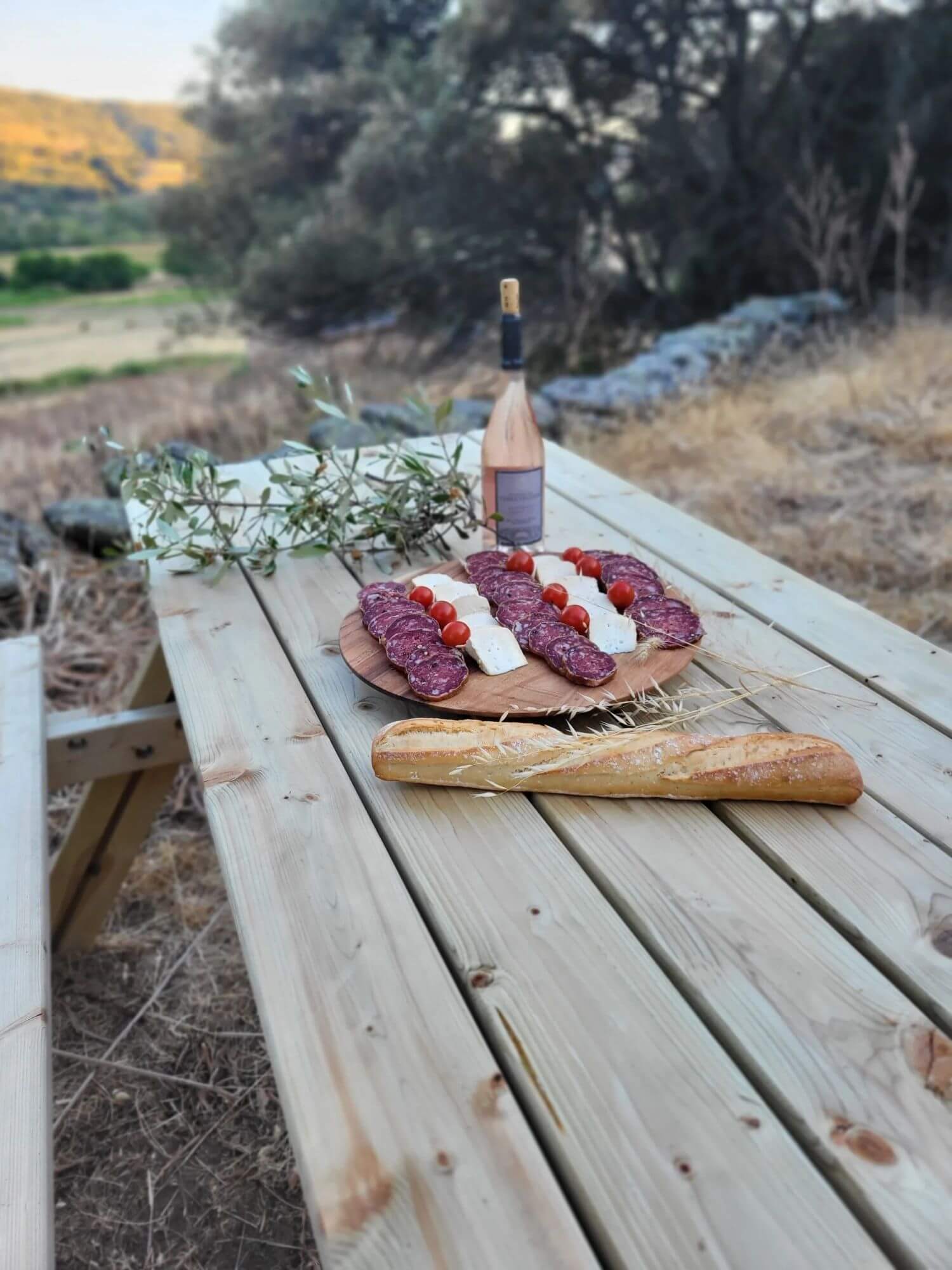 🐐 Rencontre avec les artisans corses : fromage, miel, huiles… une immersion locale